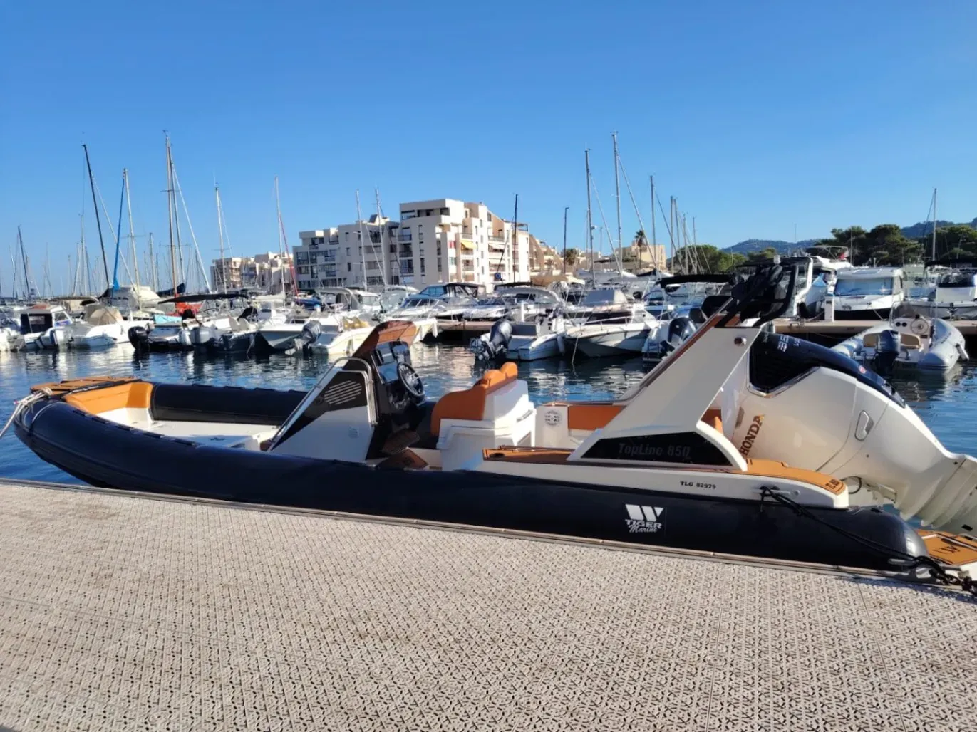 Photo de  Tiger Marine 850 Top Line 1