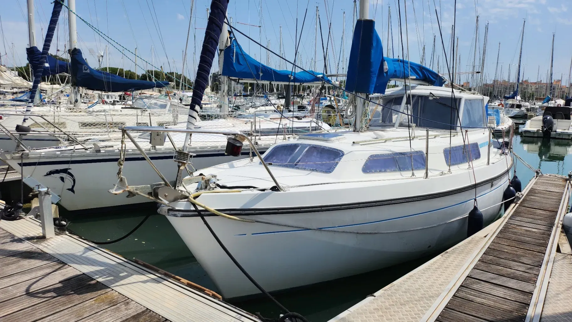 Photo de KIRIE FIFTY 27 2