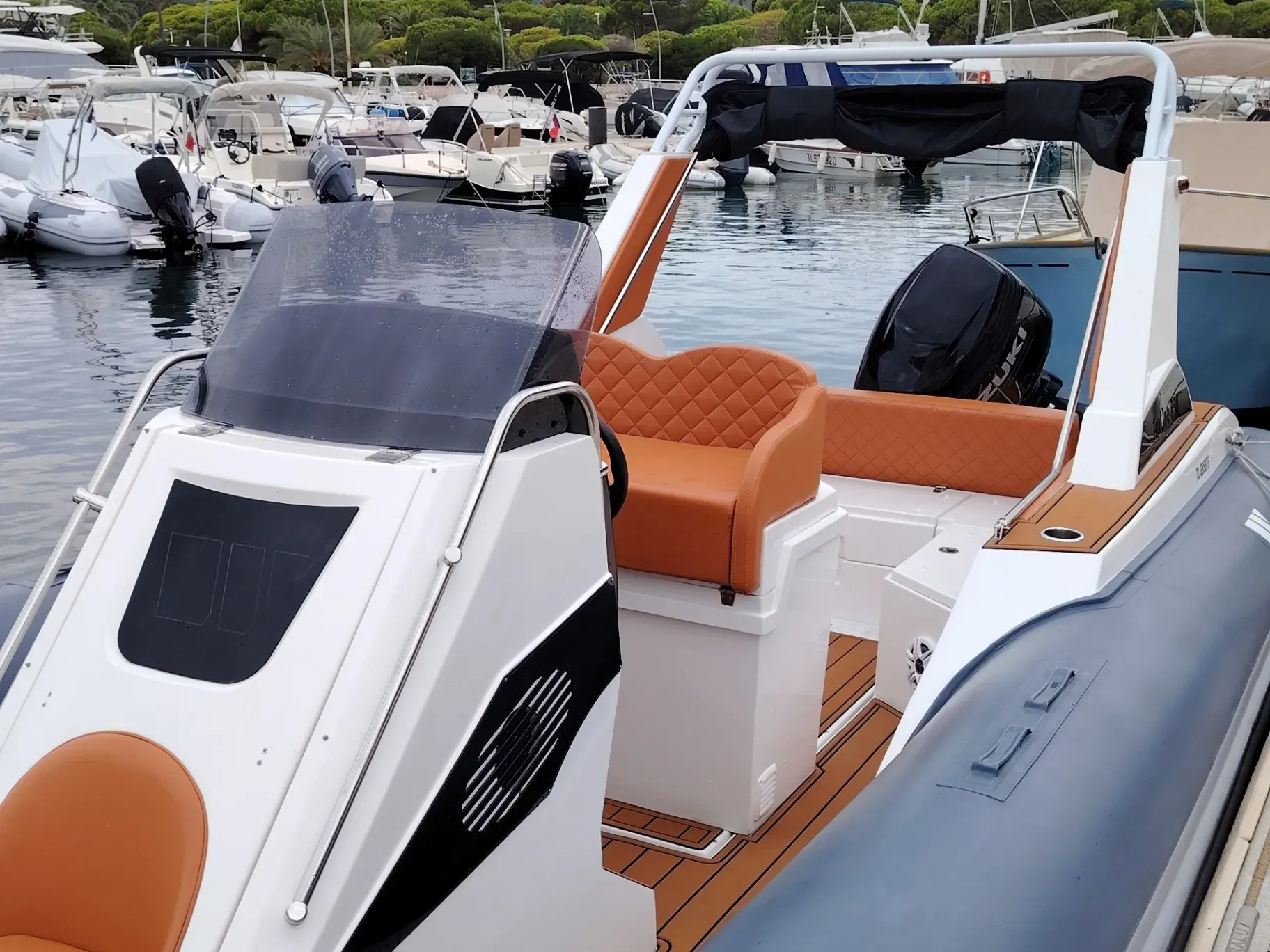 Photo de TIGER MARINE 850 TL  1