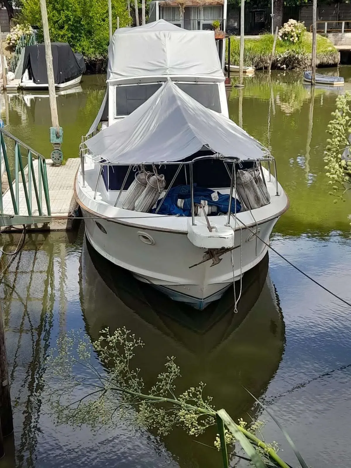 Photo de Ortholan Andamar 1