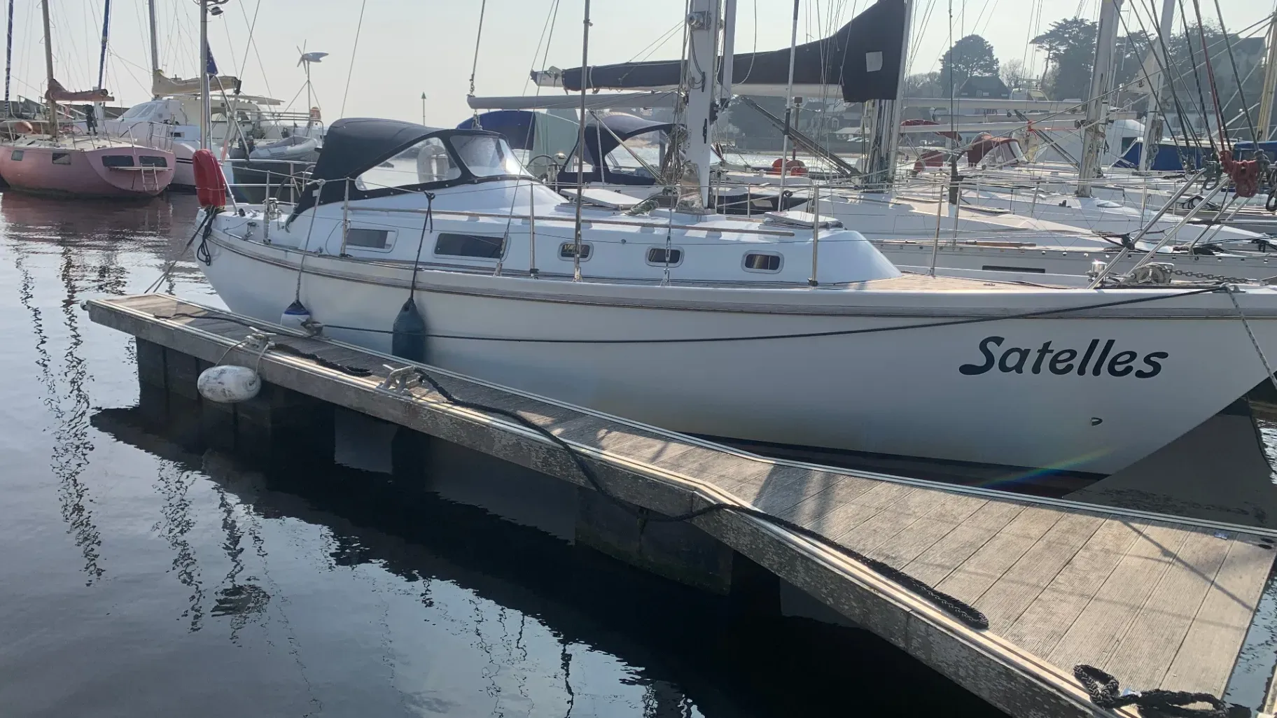 Photo de Conyplex  Contest 33 1