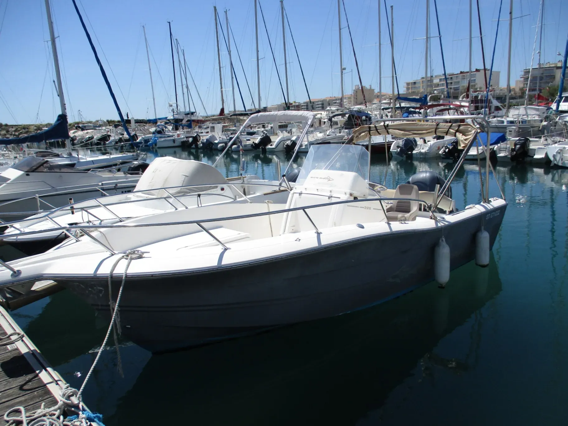 Photo de  WHITE SHARK 226 1