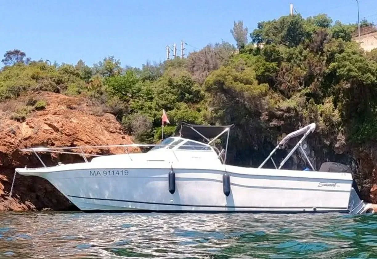 Photo de  Seaswirl Striper 2600 walkaround américain open de pêche sportive 2