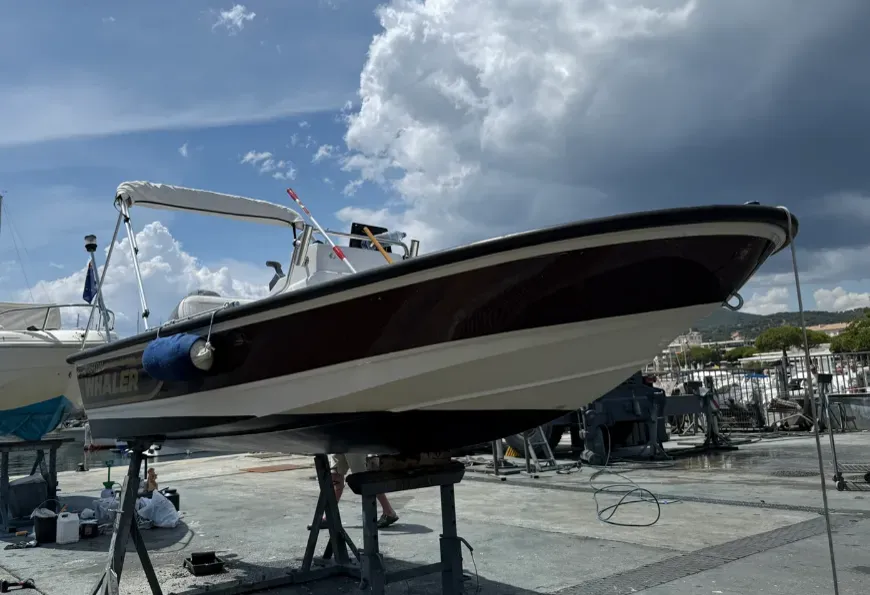 Photo de BOSTON WHALER 15 Dauntless  1